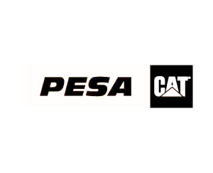 Pesa